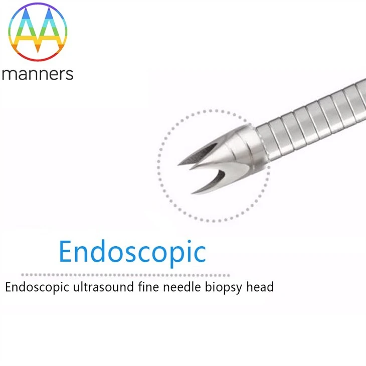 Endoscopic Ultrasound Guided Fine Needle