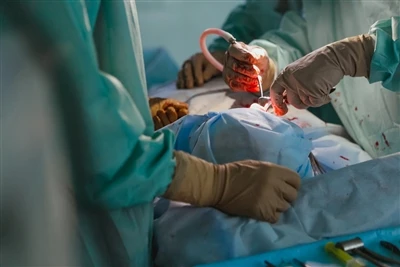 Đảm bảo hệ thống: Chứng chỉ ISO định hình các nhà sản xuất kim lấy máu chuyên...