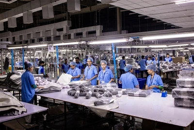 Phân tích thị trường ứng dụng và giá trị của kim tiêm V3 - Công nghệ cách cư ...